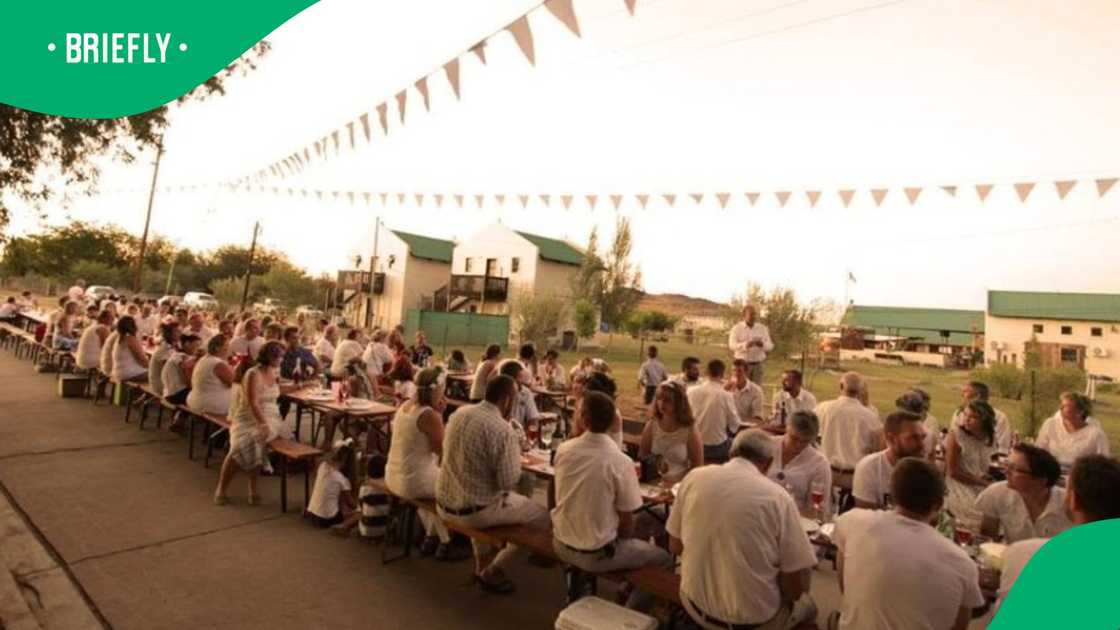 Orania flexes trees planted by pioneers