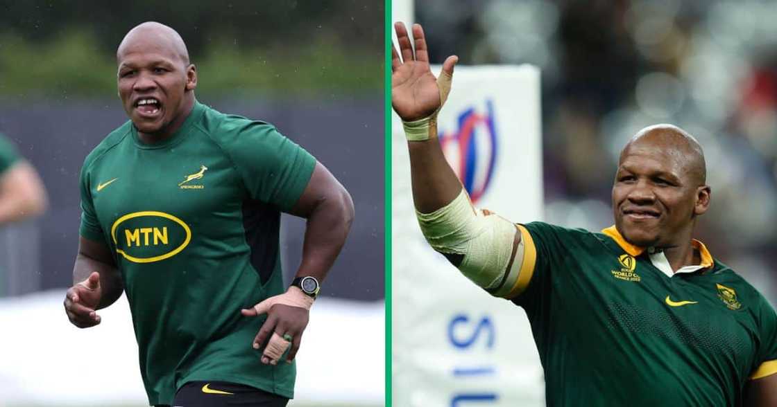 Bongi Mbonambi might play in the Rugby World Cup finals against New Zealand on 28 October Bongi Mbonambi might play in the Rugby World Cup finals against New Zealand on 28 October