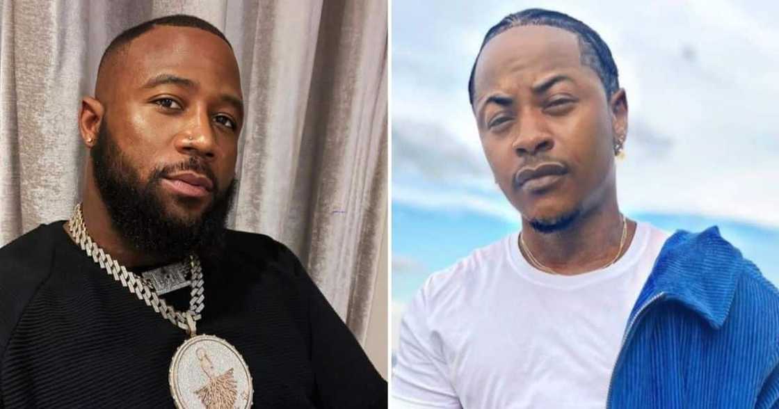 Cassper Nyovest, Priddy Ugly, celebrity match, boxing Cassper Nyovest, Priddy Ugly, celebrity match, boxing