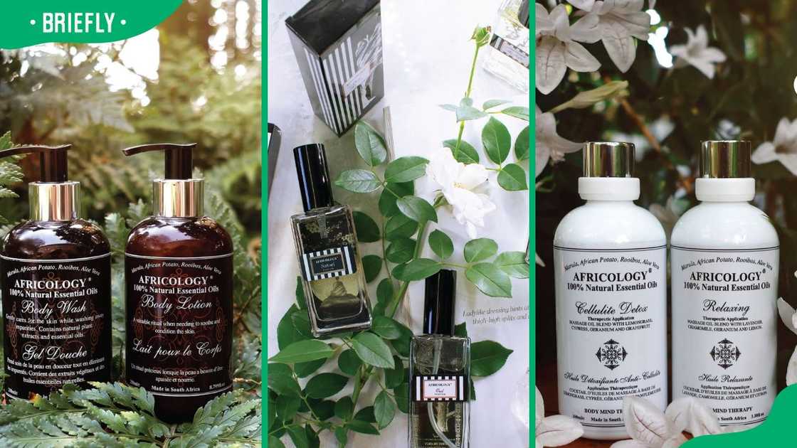 Africology gift hampers Africology gift hampers