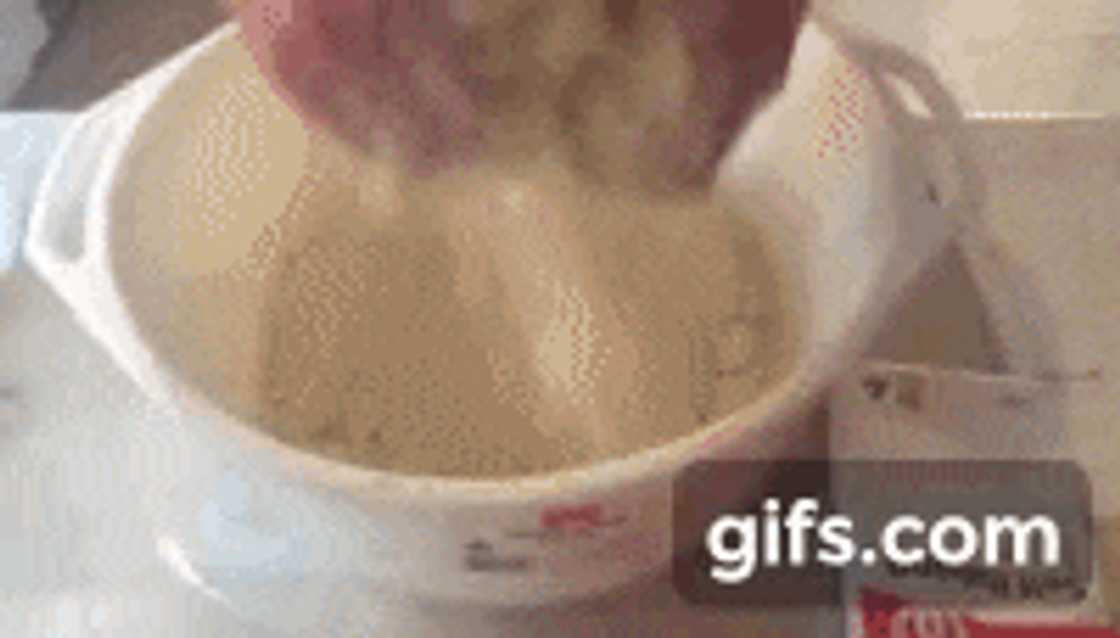 Maklike karringmelk beskuit resep Maklike karringmelk beskuit resep