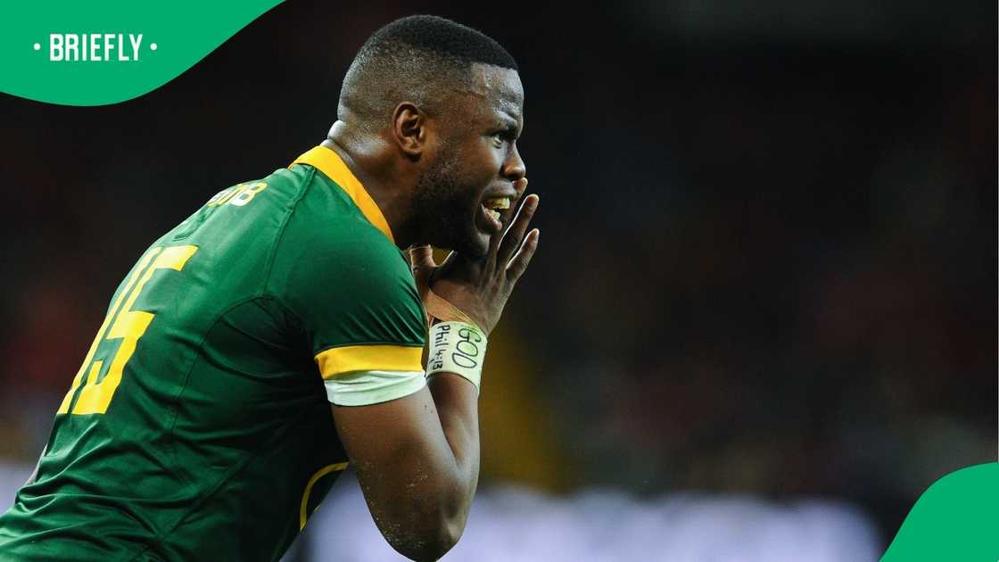 Aphelele Fassi, Autumn Nations Series, Wales and South Africa. Aphelele Fassi, Autumn Nations Series, Wales and South Africa.