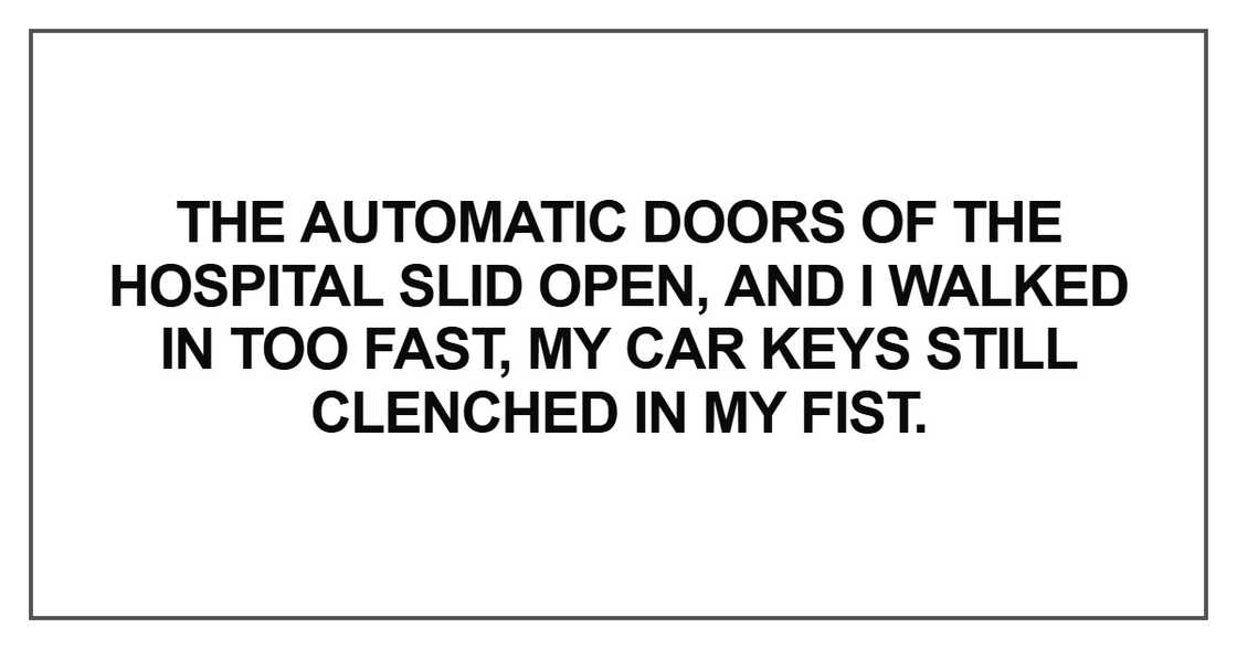 The automatic doors