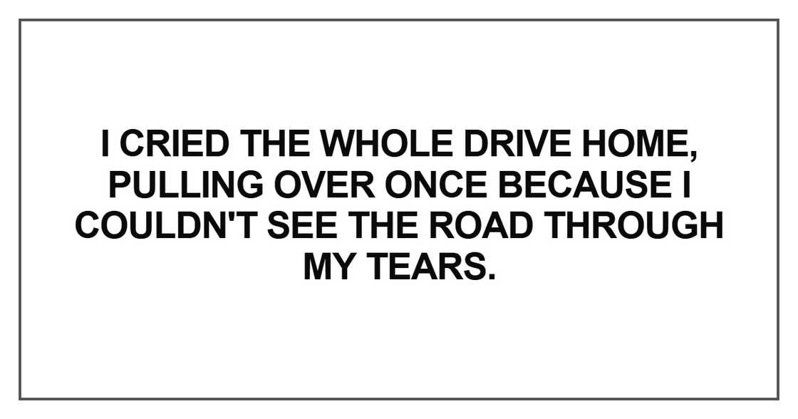 I cried the whole drive home, pulling over once because I couldn't see the road through my tears. I cried the whole drive home, pulling over once because I couldn't see the road through my tears.