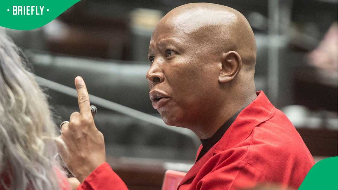Julius Malema questioned why Senzo Mchunu had different answers to one question Julius Malema questioned why Senzo Mchunu had different answers to one question