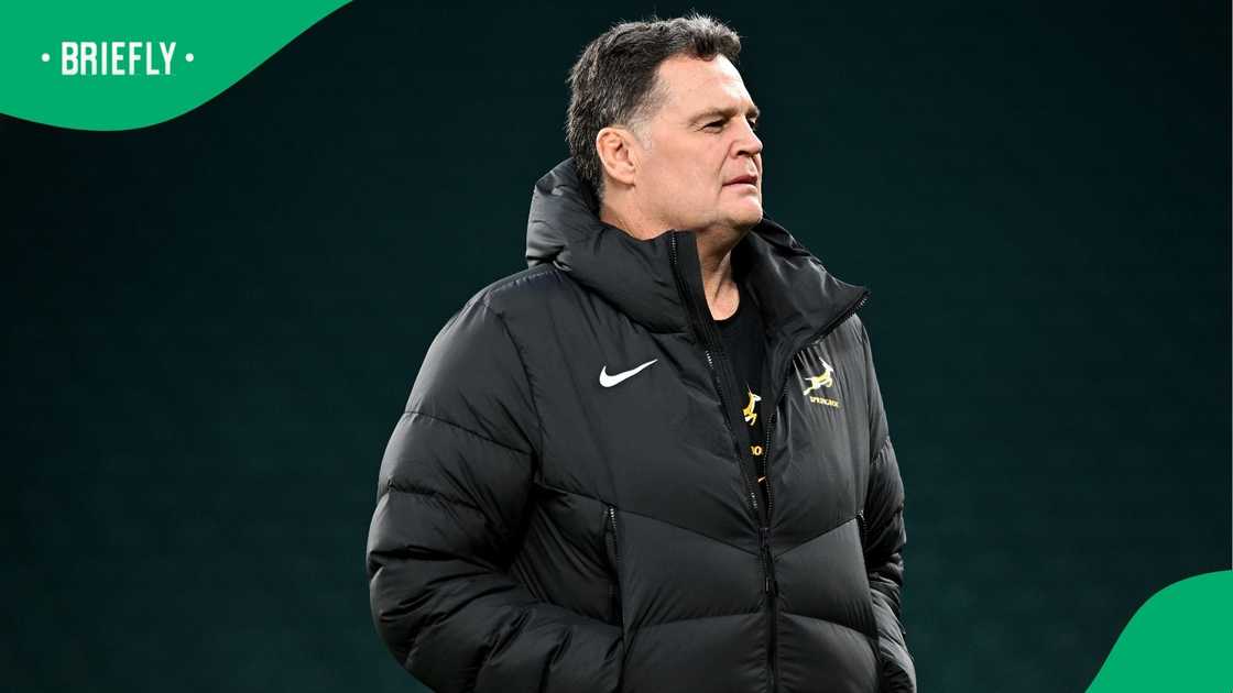 Rassie Erasmus, South Africa, England, Springboks. Rassie Erasmus, South Africa, England, Springboks.