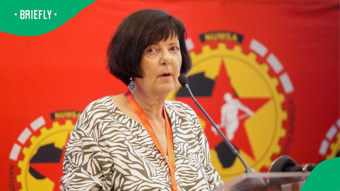 Transport Minister Barbara Creecy spoke about the issues Transport Minister Barbara Creecy spoke about the issues