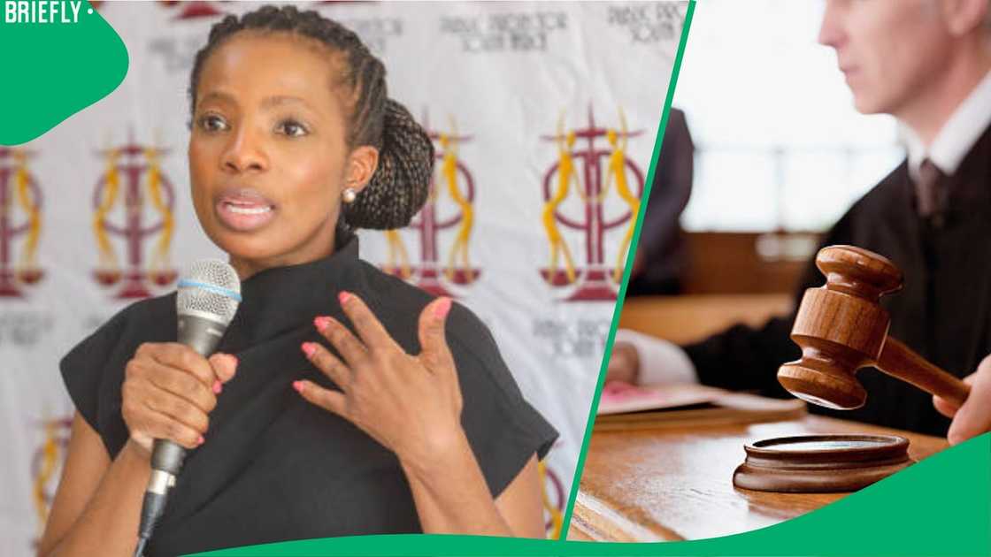 Public protector Public protector