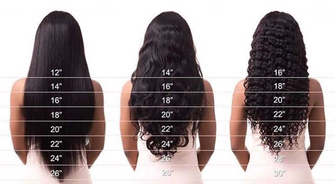 Hair length chart Hair length chart