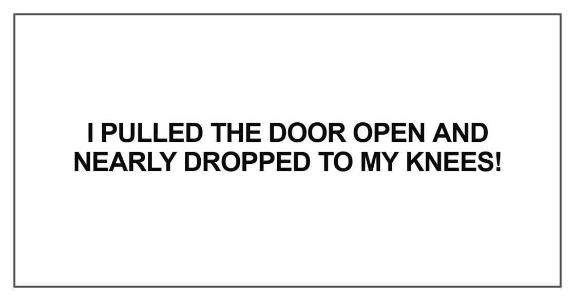 I pulled the door open I pulled the door open