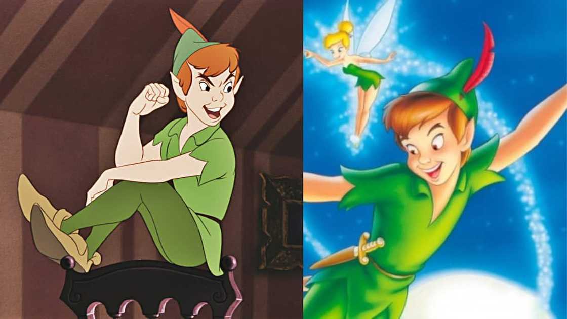 Peter Pan with his friend Tinker Bell Peter Pan with his friend Tinker Bell