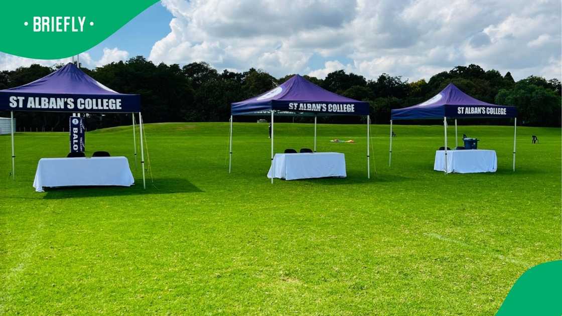 St Alban's College wins award for excellence