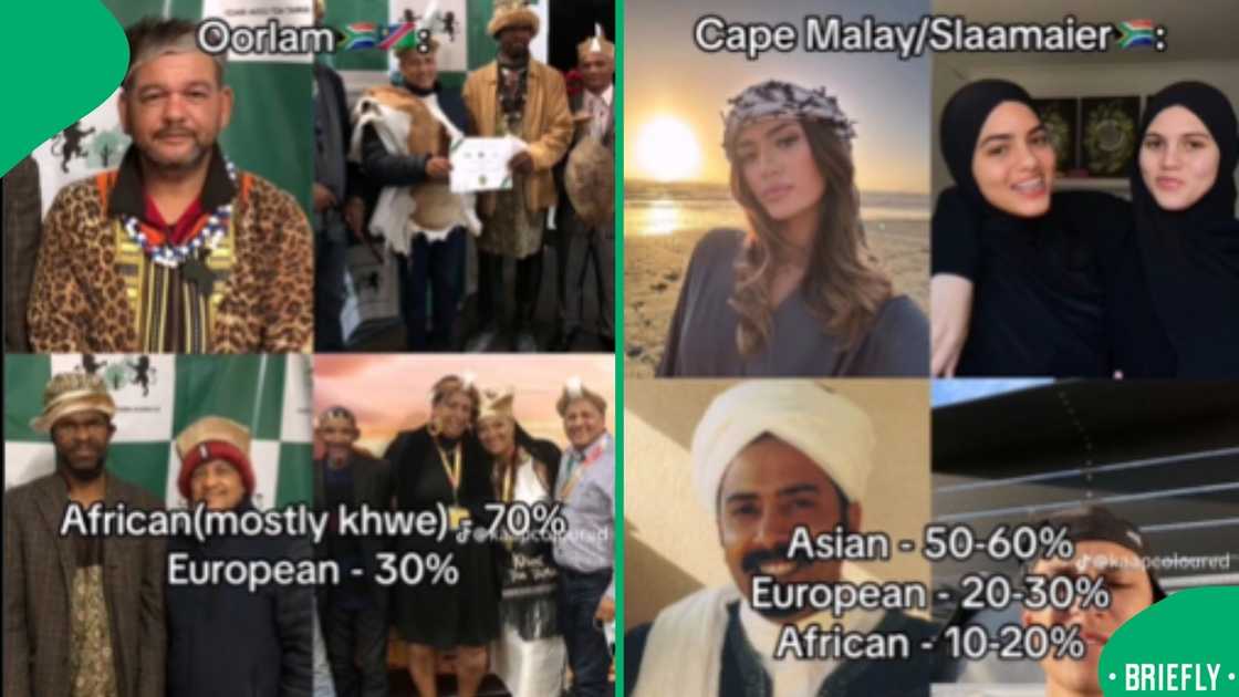 The trending video unravels the genetic and ancestral roots of South Africa's coloured community The trending video unravels the genetic and ancestral roots of South Africa's coloured community