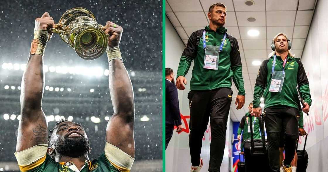 The Springboks have arrived at OR Tambo International Airport The Springboks have arrived at OR Tambo International Airport