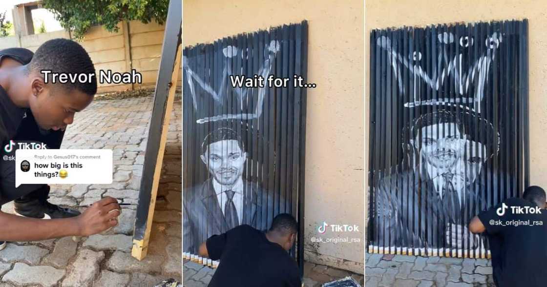 Limpopo artist paints Trevor Noah Limpopo artist paints Trevor Noah
