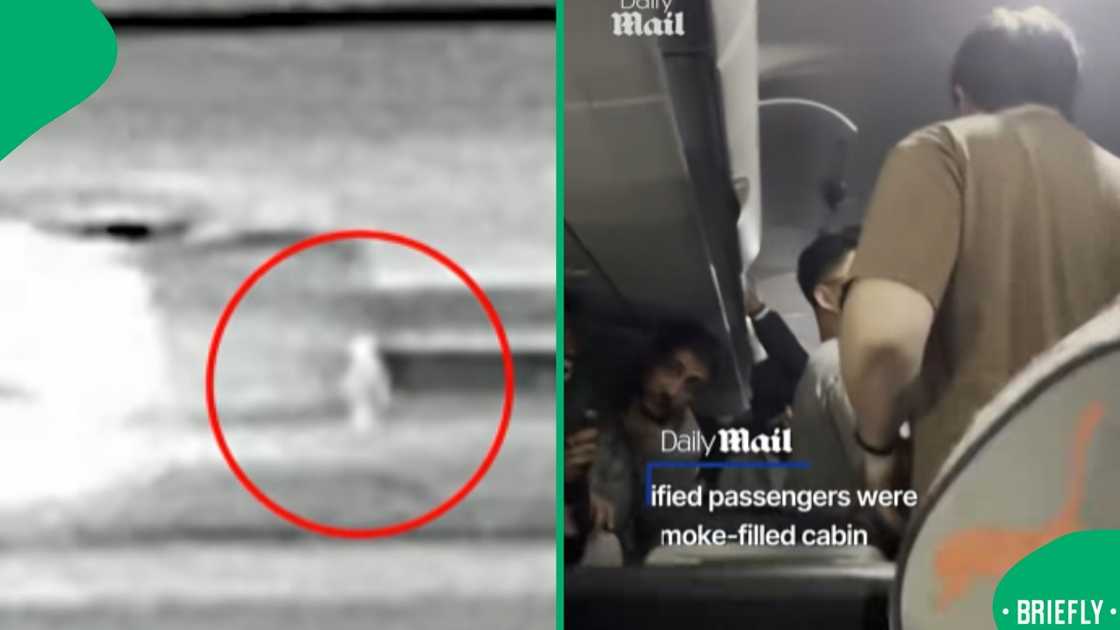 The image on the right captured the commotion after passengers realised their plane had hit a person