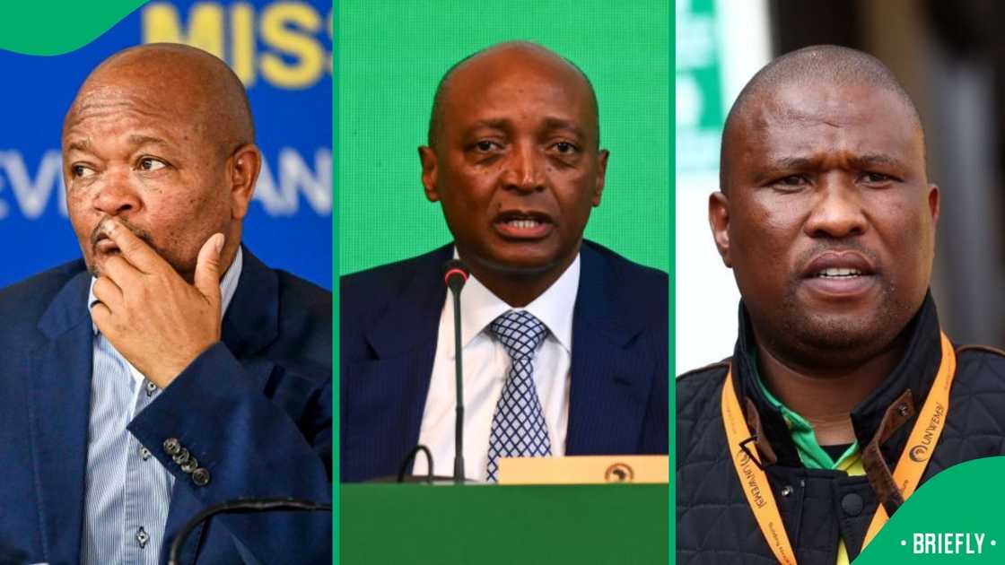 ANC members are shadow-campaigning for Patrice Motsepe to be the ANC leader ANC members are shadow-campaigning for Patrice Motsepe to be the ANC leader