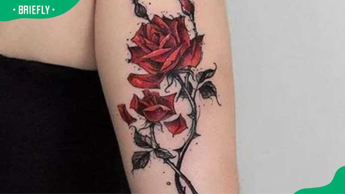 Rose with thorns tattoos Rose with thorns tattoos