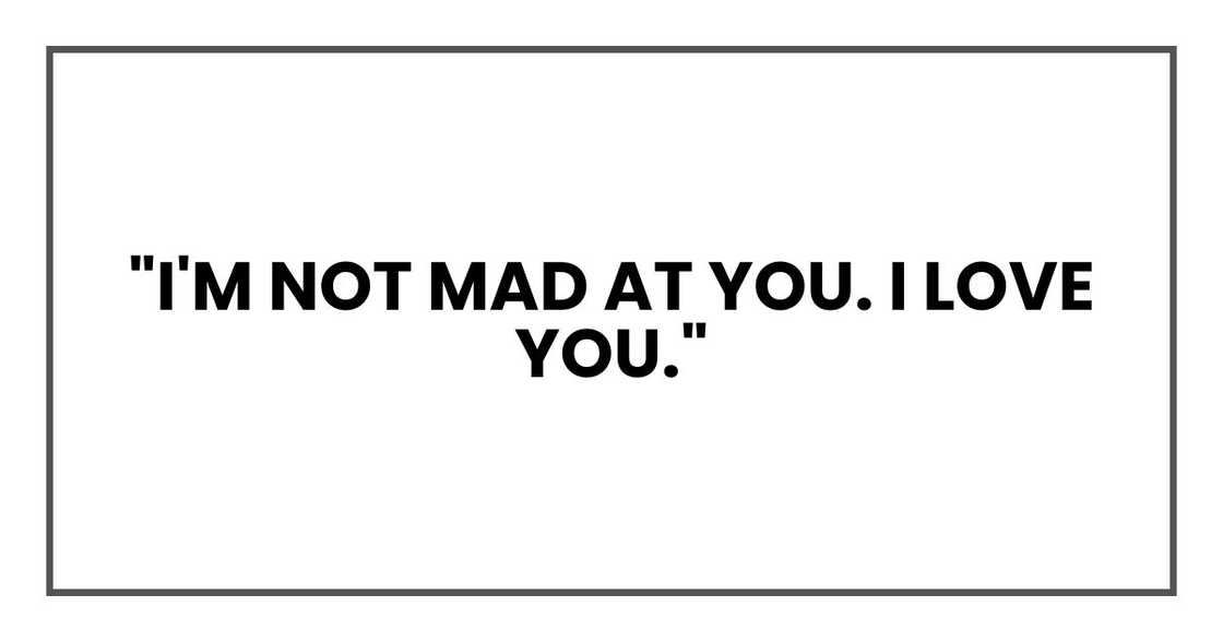 "I'm not mad at you. I love you." "I'm not mad at you. I love you."