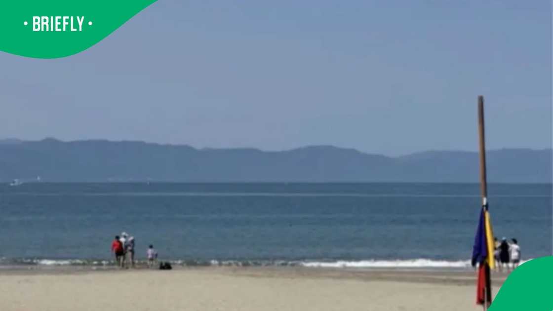 The incident happened at Marina Vallarta Beach near the Marriott Puerto Vallarta Resort and Spa The incident happened at Marina Vallarta Beach near the Marriott Puerto Vallarta Resort and Spa