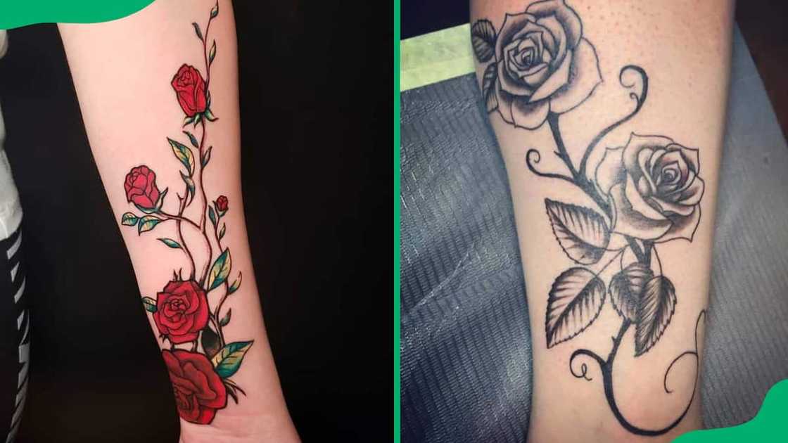 Rose vine tattoos Rose vine tattoos