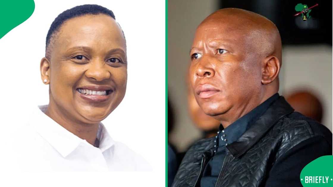 Lebo Keswa claims Julius Malema had an affair Lebo Keswa claims Julius Malema had an affair