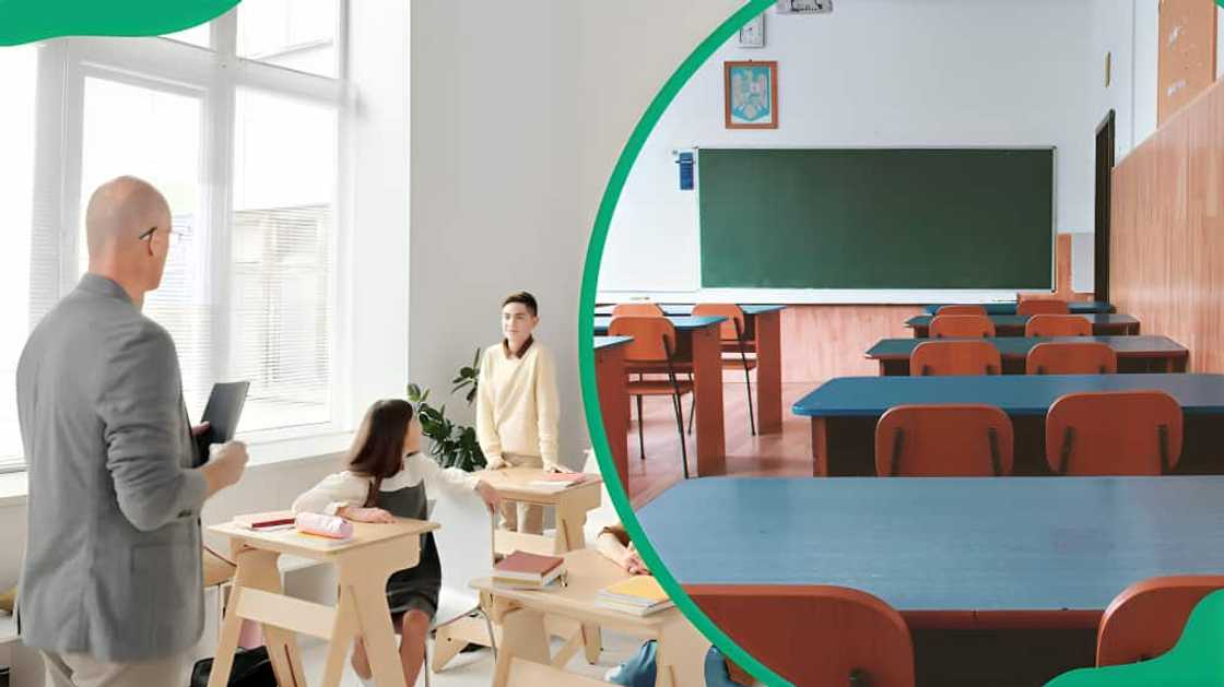 WCED online application WCED online application