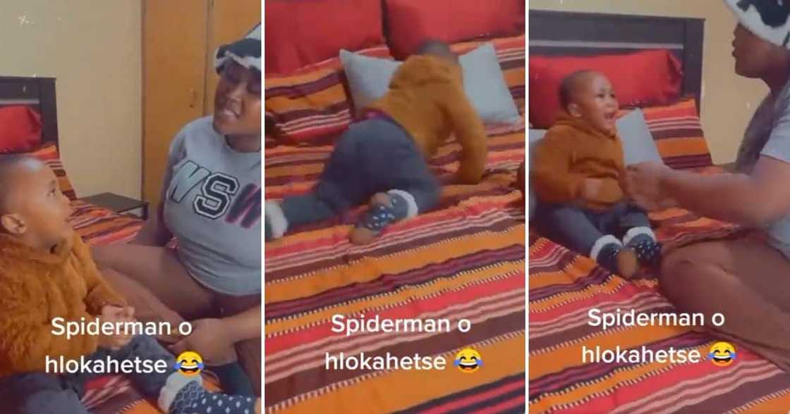 Spiderman, South Africa, Children, Mzansi, Parenting, Boy, Spiderman Cake, Heartsore, Mom, Tells Him Hero Passed Away Spiderman, South Africa, Children, Mzansi, Parenting, Boy, Spiderman Cake, Heartsore, Mom, Tells Him Hero Passed Away