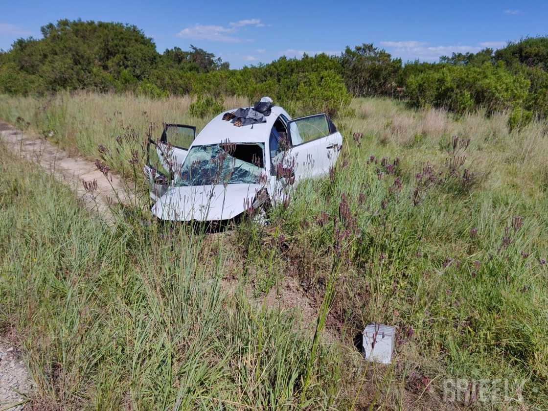 N2 single-vehicle collision kills 4, girl, 3, among the dead as 2 women seriously injured N2 single-vehicle collision kills 4, girl, 3, among the dead as 2 women seriously injured