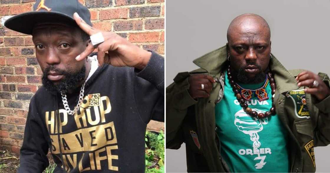 Zola 7 Zola 7