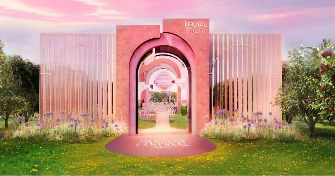 Brutal Fruit Spritzer Brings The Pink Table Magic to Johannesburg Brutal Fruit Spritzer Brings The Pink Table Magic to Johannesburg
