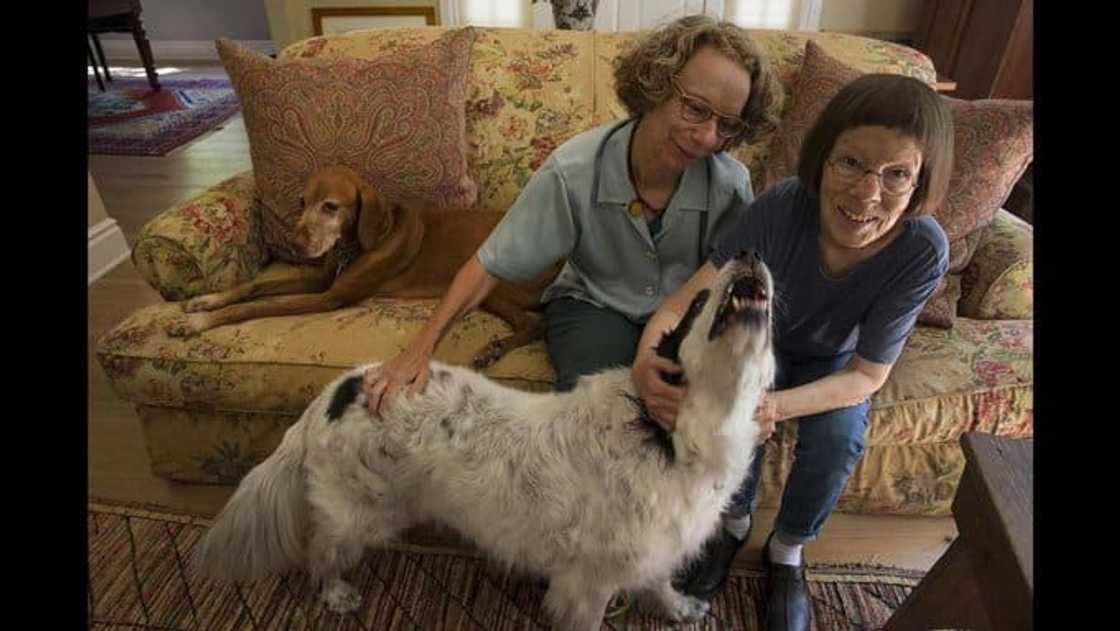 Who is Karen Kline? Who is Karen Kline?