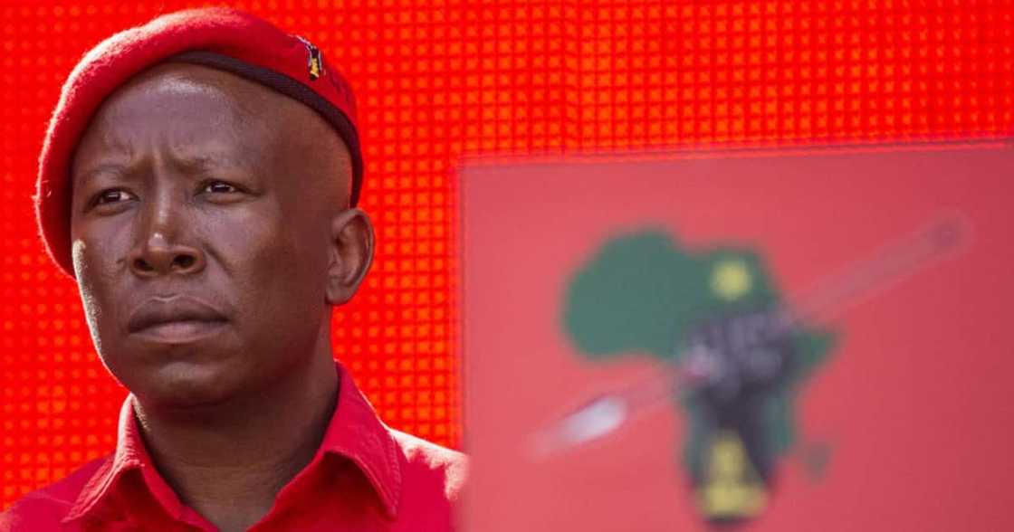 EFF: Julius Malema drags the ANC for closing borders for travel EFF: Julius Malema drags the ANC for closing borders for travel