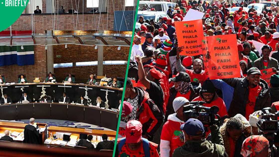 EFF Concourt