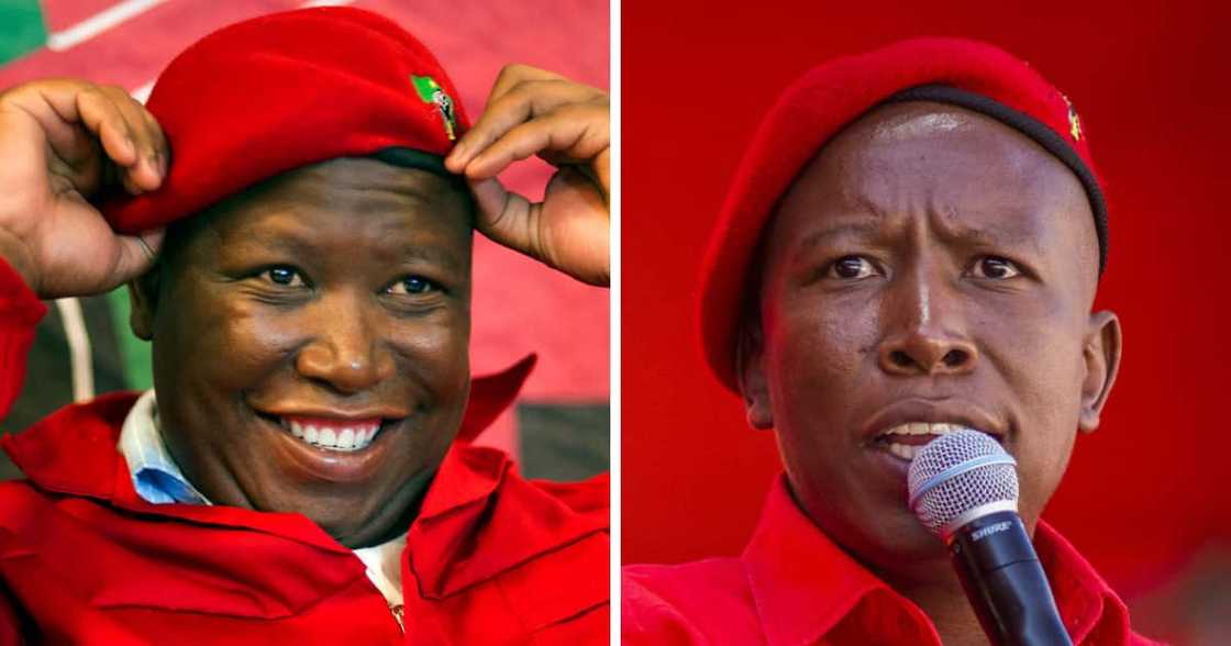 Julius Malema, 'Kiss the Boer', 'Kill the Boer', Equity Court, AfriForum, Twitter, Mzansi, Reactions