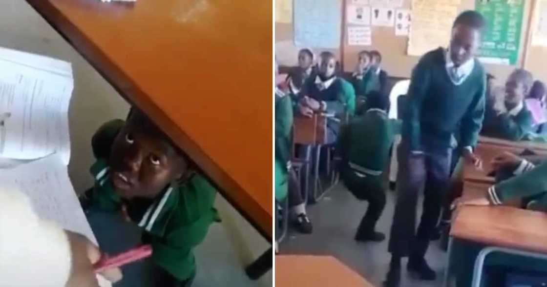 Video. schoolboy, social media Video. schoolboy, social media