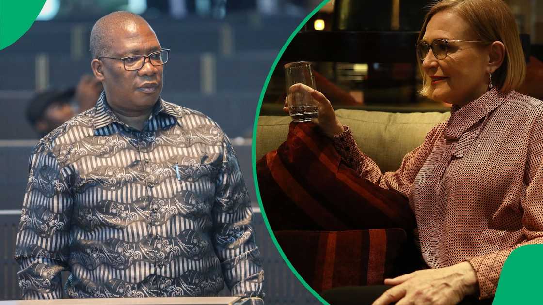 Panyaza Lesufi and Helen Zille. Panyaza Lesufi and Helen Zille.