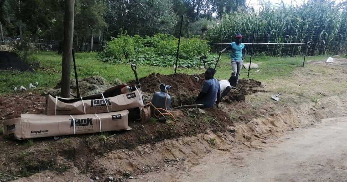 Roodepoort, City Power, SAPS, cable theft, South African Police Service, bribery, crime, Johannesburg