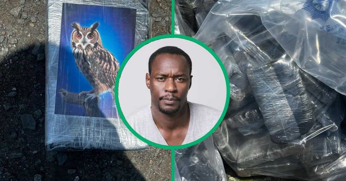 A shipment of drugs worth R151 million was seized at the Durban Harbour A shipment of drugs worth R151 million was seized at the Durban Harbour