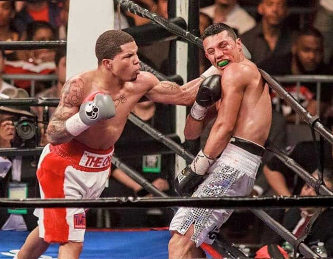 gervonta davis record gervonta davis record