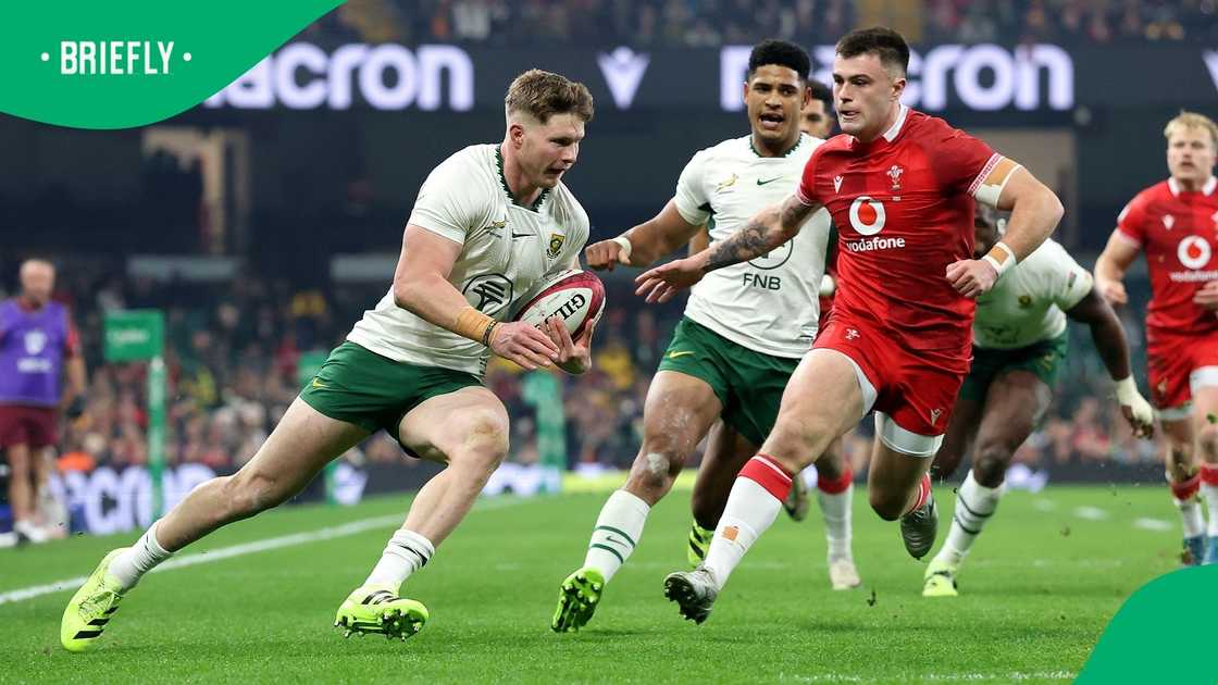 Springboks, Ethan Hooker, South Africa Springboks, Ethan Hooker, South Africa