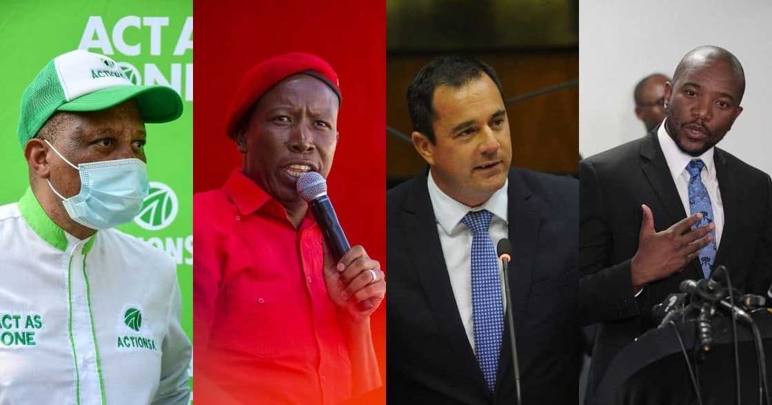 Action SA, EFF, DA, One SA, Herman Mashaba, Julius Malema, John Steenhuisen, Mmusi Maimane, elections Action SA, EFF, DA, One SA, Herman Mashaba, Julius Malema, John Steenhuisen, Mmusi Maimane, elections