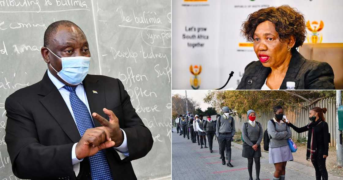 coronavirus coronavirus