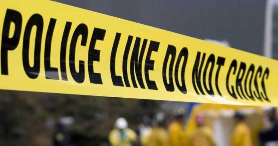 Kestell, Farm, Attack, 7 dead, 2 arrested Kestell, Farm, Attack, 7 dead, 2 arrested