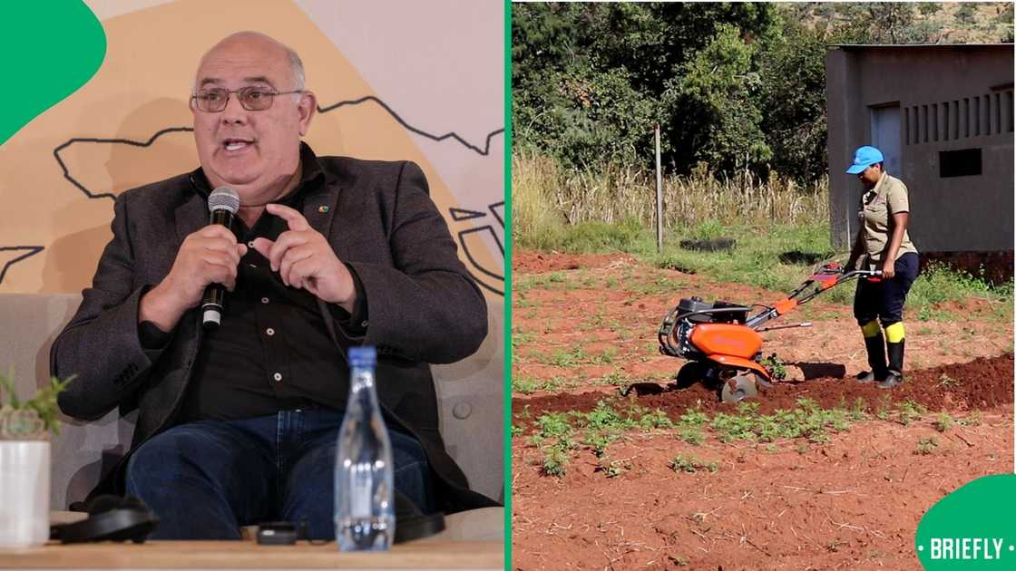 Theo de Jager called on Donald Trump not to ignore the plight of black farmers