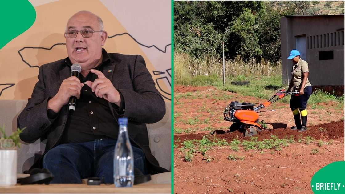 Theo de Jager called on Donald Trump not to ignore the plight of black farmers Theo de Jager called on Donald Trump not to ignore the plight of black farmers