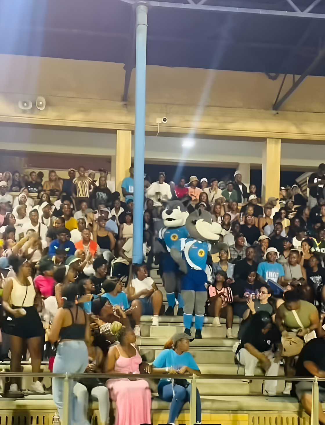 CPUT mascots’ dance moves leave Mzansi amused in a TikTok video.