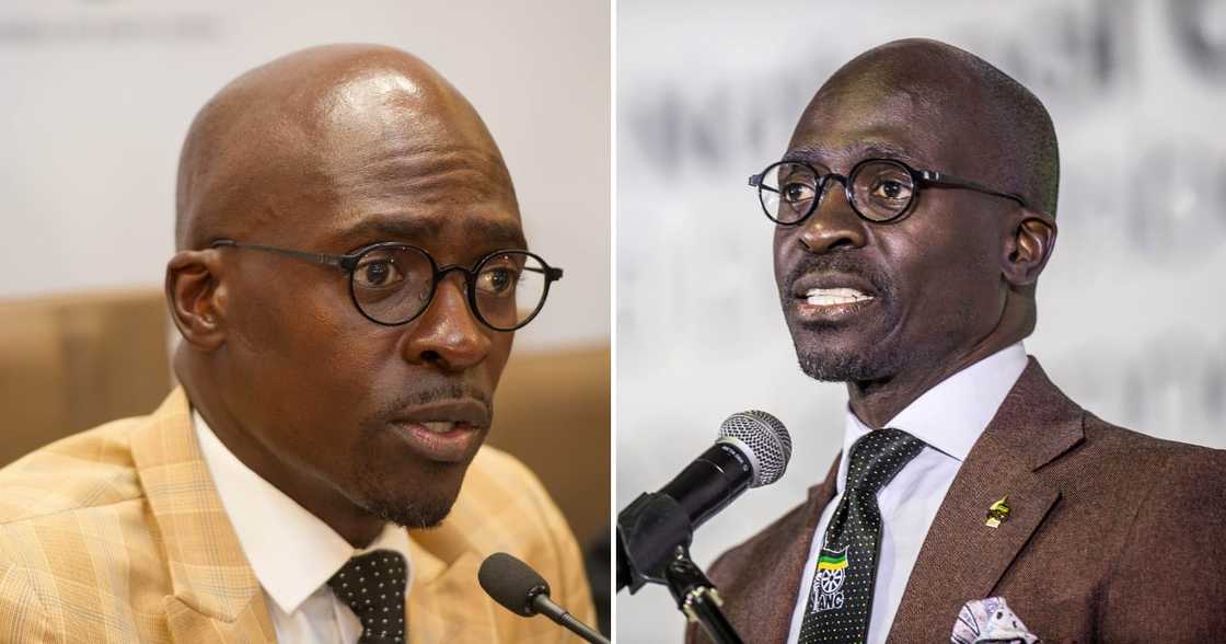 Former Public Enterprises Minister Malusi Gigaba