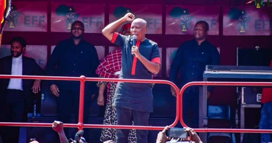 Economic Freedom Fighter Julius Malema