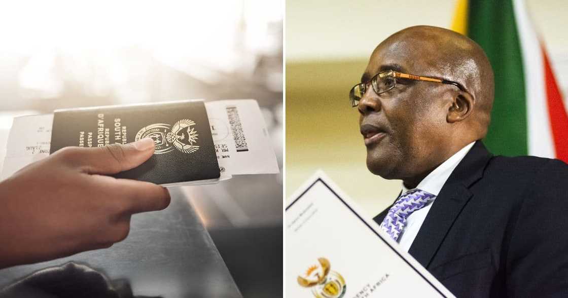 Home Affairs Minister Aaron Motsoaledi Home Affairs Minister Aaron Motsoaledi